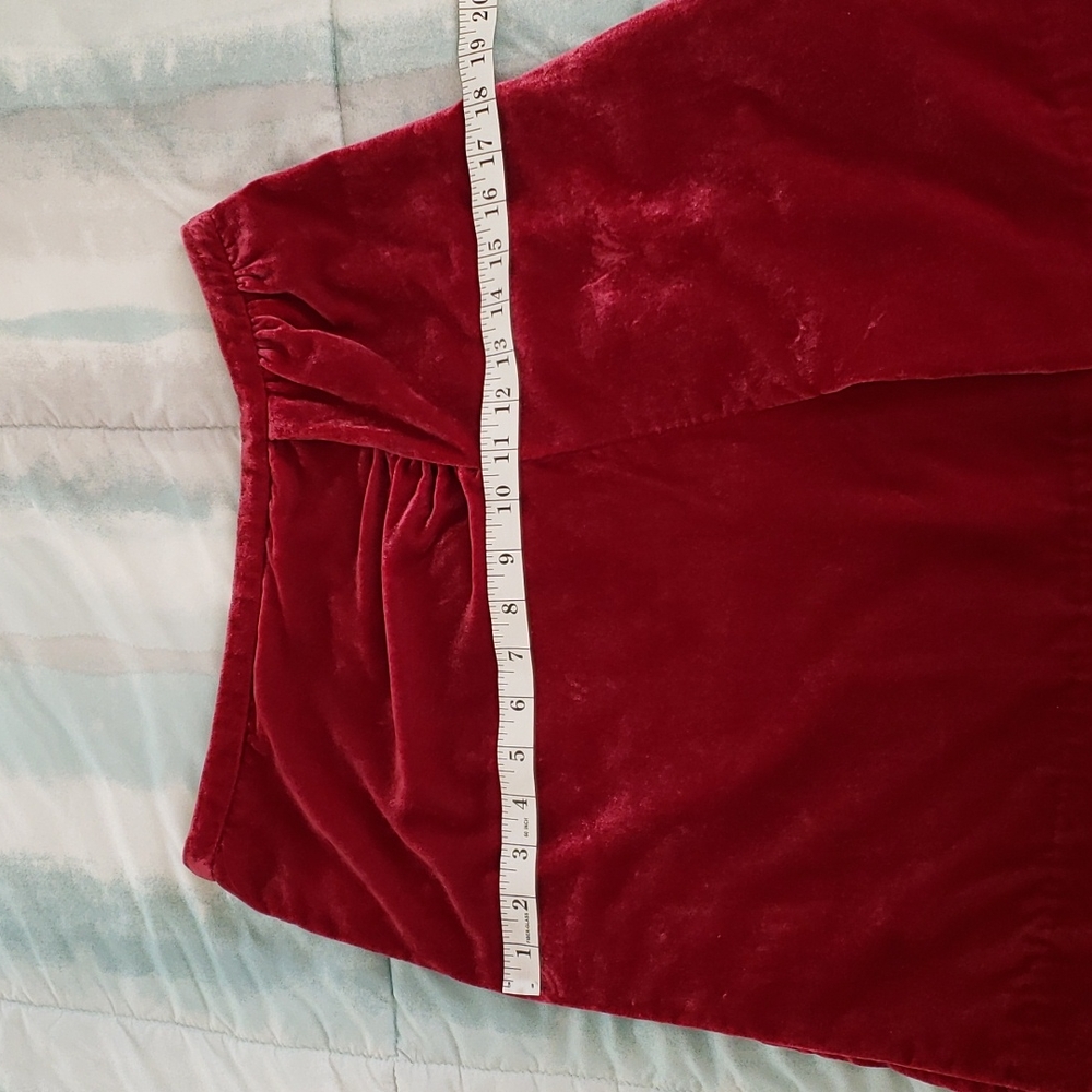 Anthropologie Monte Raspberry Velvet Mini Skirt - Picture 11 of 16